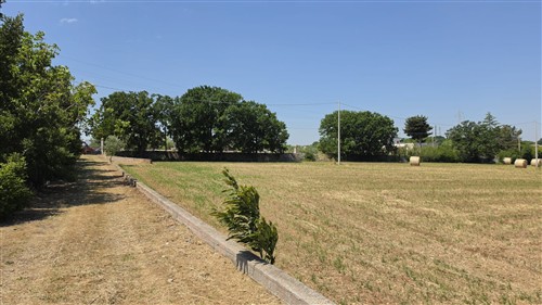 Terreno Agricolo e Ciliegeto a Castellana Grotte